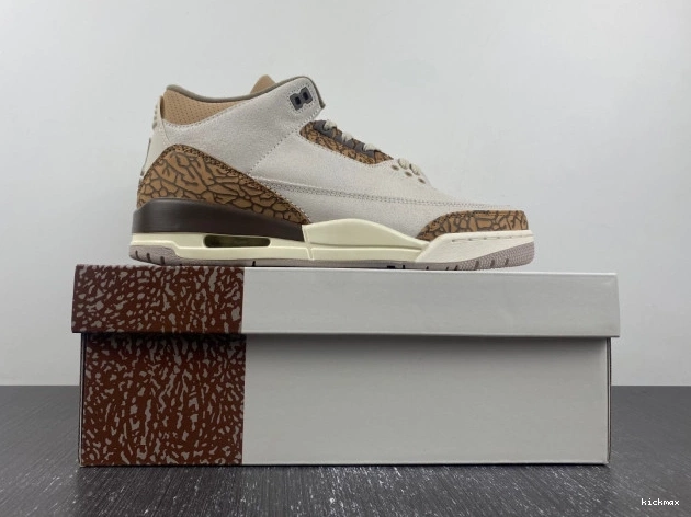 Rep Palomino 3 Jordan CT8532-102 Air 0713
